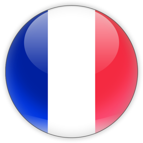 french flag